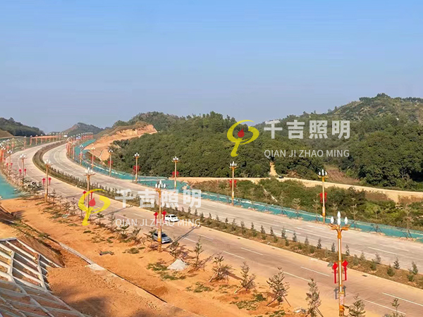 茂名高州永（yǒng）青大道景觀路燈照明工程案例